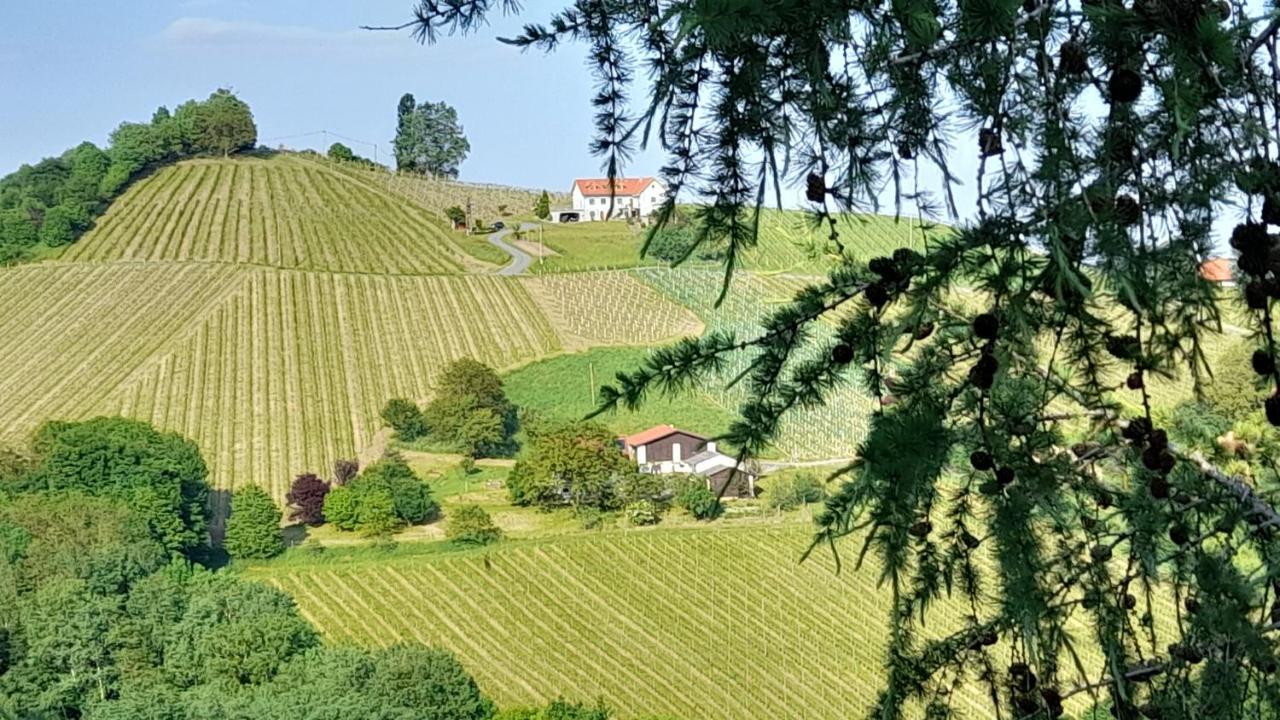 Glanz und Gloria Weingartenappartement Leutschach Exterior foto